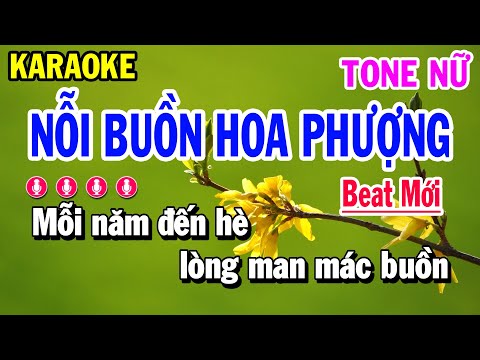 Karaoke Nỗi Buồn Hoa Phượng | Nhạc Sống Tone Nữ