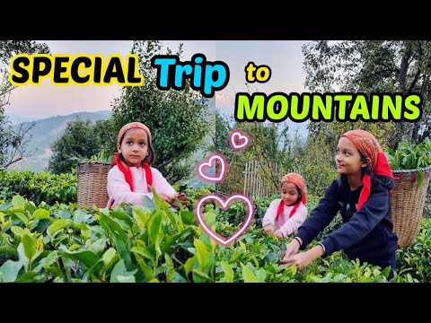 SPECIAL TRIP TO MOUNTAINS ❄️🌲🎉 | Family Vlog | Aayu and Vanu