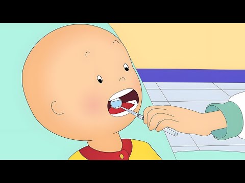 Caillou Dişçiyi Ziyaret Etti | Caillou Türkçe - WildBrain