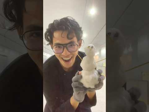 Boneka salju untuk pacar