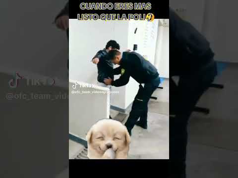 Engaño  el seguridad y este joven 🤣😂👌
