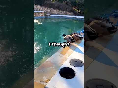 What's something you saw as a kid but didn't realize was messed up until you were older?