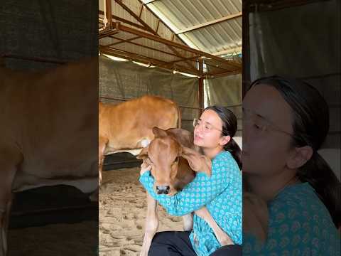 Aaj kiya bhole ka Naam karan โค๏ธ๐ซถ๐ป #shortvideo #minivlog