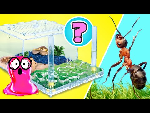 🕷️ Cómo Hacer Casas Para Hormigas, Ratas, Tortugas, Arañas y Caracoles || ¡DIYs FÁCILES!