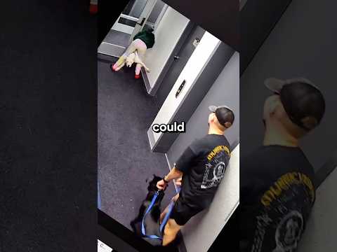 Dog felt real fear 💀