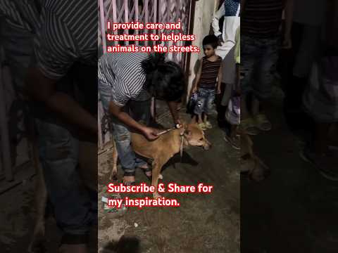 From Rescue to Recovery: Saving Street Dogs with Love and Care 🐕 #StreetDogRescue  #streetdogrescue