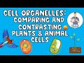 Comparing Plant and Animal Cell Organelles