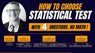 How to Choose the Right Statistical Test: The 4-Question Guide for Beginners (NO MATH!)