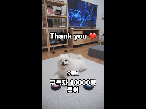 유튜브 구독자 10000명 감사합니다