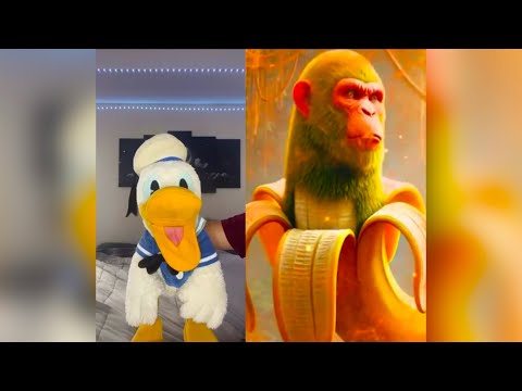 Donald Ducc REACTS To ITALIAN BRAINROT TikToks! 20