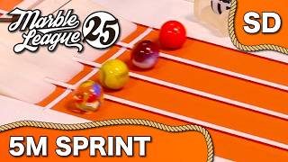 Marble League 2025 - E5 5 meters Sprint | Jelle's Marble Runs