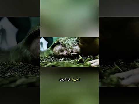⚡ مواجهة الرجل والغوريلا.. معركة القوة المطلقة في الغابة! 🦍🔥