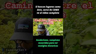 ¿Como será caminar en lo profundo del bosque?