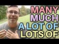 Understanding Quantifiers in English
