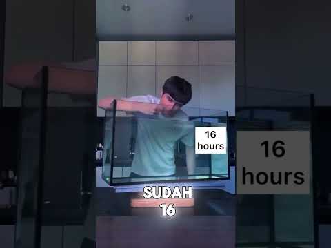 minum 100 liter air dengan sehelai rambut⁉️😱
