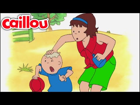 Caillou en la playa | Caillou Español - WildBrain | Caricaturas para niños