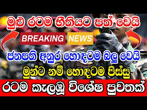 Derana news Breaking News | Ada derana news |  BREAKING NEWS |, Ada derana news |  BREAKING NEWS