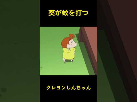 葵が蚊を打つ #music #クレヨンしんちゃん #コント #funny #面白い #雑学 #animation