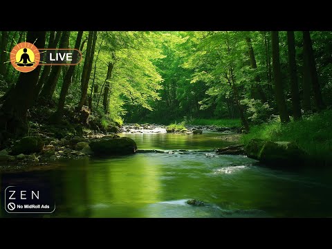 &#128308; Healing Sleep Music 24/7: Relaxing Forest Nature Meditation Music | Eliminate Stress &amp; Anxiety Now