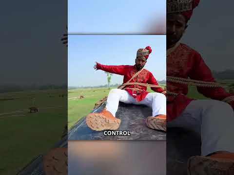 Thief Gets Instant Karma ๐จ