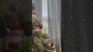 Snow Falls Start #winter #snowfall #niagarafalls #desilifestylevlogs #pakistan #cristmas