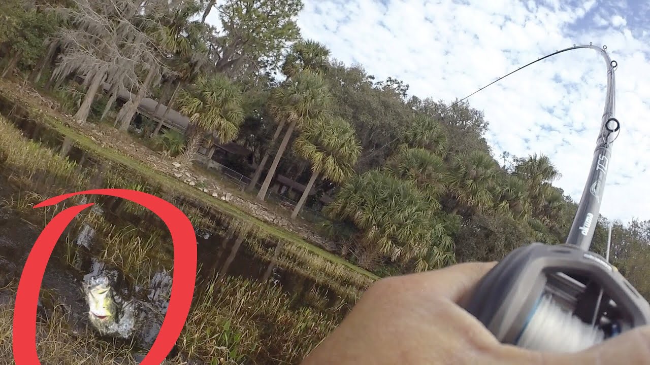 These GIANT Bass Messed Me Up BIG TIME - Harris Chain Pre-Practice