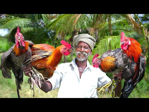 FIGHTING CHICKEN BIRYANI |சண்டை சேவல் பிரியாணி  | Grandpa Cooking Show