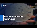 Microbiology Plating Techniques