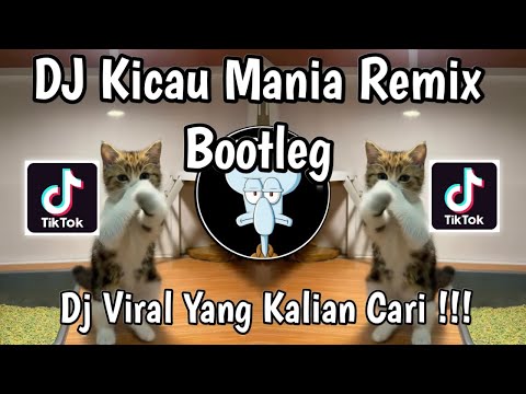 DJ KICAU MANIA REMIX MASHUP SLOW BASS VIRAL TIKTOK TERBARU 2026 !