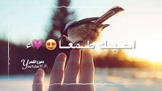 بحب عبدتك ربي❤️من أجمل الأناشيد الاسلاميه🌸اناشيد دينيه🍃حالات واتس اب اناشيد دينيه🌹استوريات اناشيد