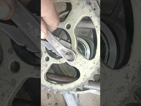 Bina cooler bearing open Pulsar bike real whale short