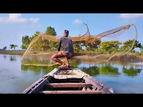 Net Fishing Video | Traditional Cast Net Fishing in River | Village Fisher Cast Net Fishing Video
