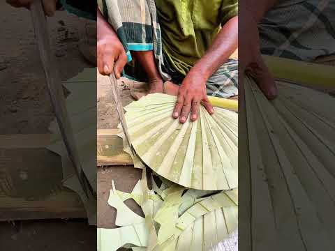 তাল'পাতা থেকে হাত পা'খা তৈরি দেখু'ন..!😮 #viral #foryou #Short