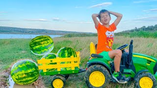 Watermelon Trouble on the Road! A Funny Story with Darius 🛑🍉
