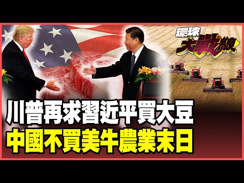 川普再求中國買大豆！悔恨掏錢助阿根廷卻遭背刺！北京下波攻勢鎖定美牛 美國「農業末日」要來了！【#環球大戰線】20251002-P1 葉思敏 蔡正元 賴岳謙 栗正傑