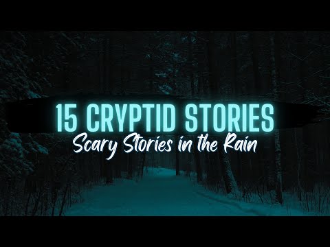 🎵 15 Cryptid Stories in the Rain WITH MUSIC