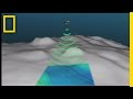 Deep Sea Creatures and the Census of Marine Life