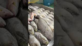 CUSSS MAKAN SEAFOOD