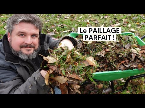 Le PAILLAGE PARFAIT à récupérer en hiver dans son jardin !