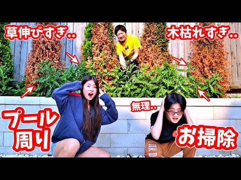 裏庭の掃除🧹クサイ ぎゃぁぁで大騒ぎ😣プールはまだだよ😣