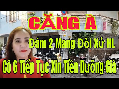 🟢 CĂNG À: Đám 2 mang đòi xử đẹp HL, Cô 6 tiếp tục xin tiền dưỡng già