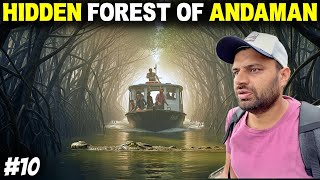 Inside Andaman’s Hidden Forest - Crocodiles in Andaman