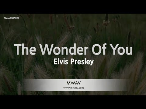 Elvis Presley-The Wonder Of You (Karaoke Version)