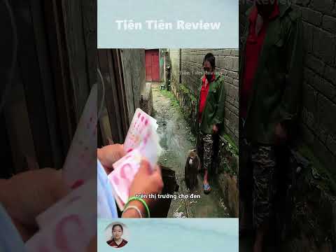 Loài Voi Đang Đối Mặt Với Nguy Cơ Tuyệt Chủng Bởi Những Tên Trộm Săn Ngà #short #shorts #viralvideo
