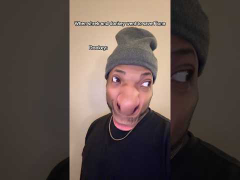 When shrek and donkey went to save fiona