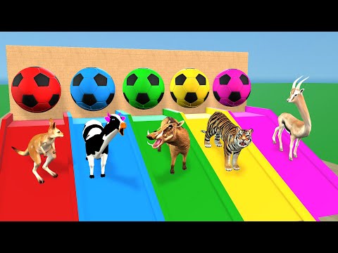 Paint & Animals Duck,Gorilla,Lion,Elephant,Cow,Sheep Fountain Crossing Transformation Animal Cartoon