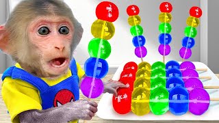Bin Bon duck Monkey Baby Kittens Puppy Goes Koi Cat And swims Rabbits Animals Eats Egg Muckbang Asmr