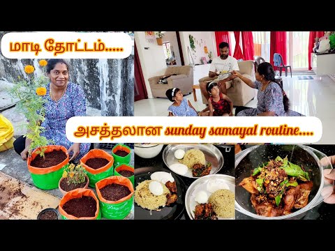 🪷🙋‍♀️அசத்தலான sunday samayal routine 🤗💁‍♀️மாடி தோட்டம் set paniyachu😋oct8🗓