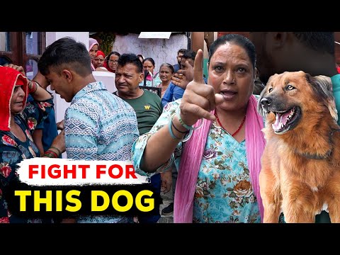 Ek "agressive" dog ki kahani - jo aggressive thaa nahi, bana diya gaya.