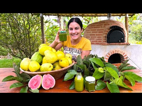 Não é só fruta, a goiabeira pode ser a solução que você precisa!